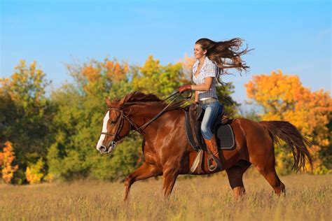 Top 4 Places To Go Horseback Riding In Pigeon Forge Pigeon Forge Online