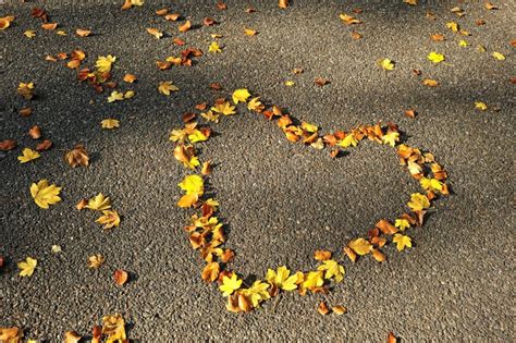 Autumn Season Love Heart On The Road Stock Image Image Of Leaf Gold