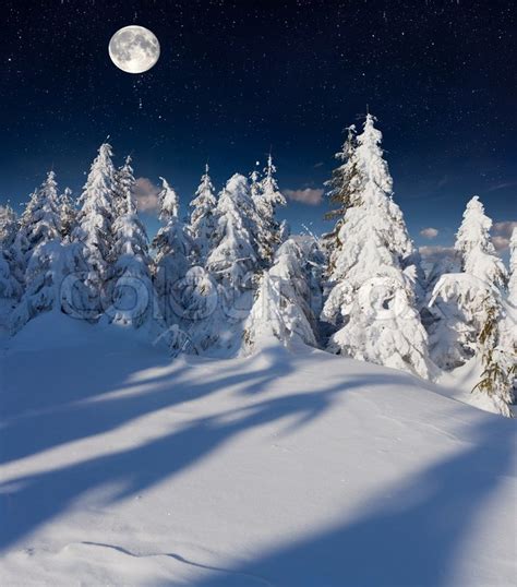 Beautiful Night Winter Landscape In The Stock Photo
