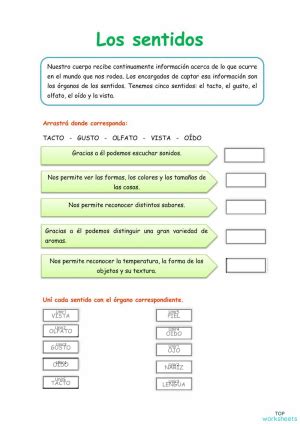 Nuestros Sentidos Ficha Interactiva Topworksheets