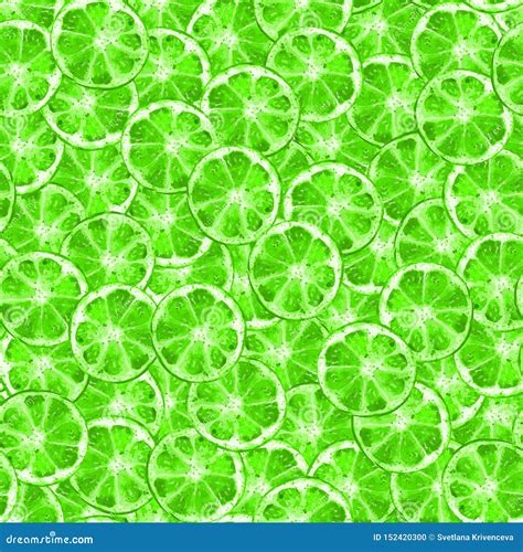 Green Lime Slice Seamless Pattern Stock Illustration Illustration Of
