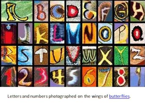 Butterfly Alphabet And Numbers Alphabet Graffiti Alphabet Art