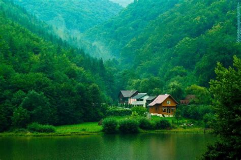 1920x1080px 1080p Free Download Riverside Houses Forest Green