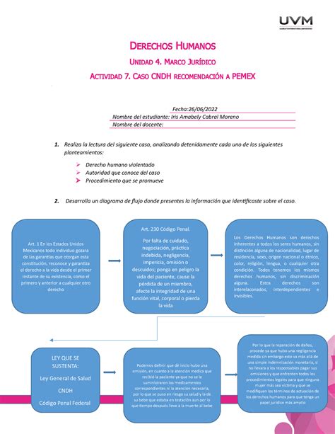 Actividad 7 Diagrama De Flujo Iacm Derechos Humanos Unidad 4 Marco