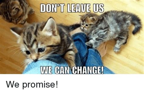 Dont Leave Us We Can Change We Promise Grumpy Cat