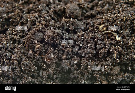 Black Soil Texture Background Stock Photo Alamy