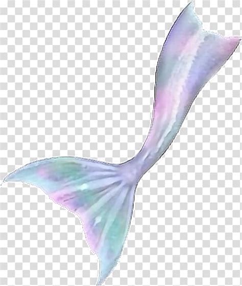 Mermaid Fin Fun Monofin Tail Watercolor Mermaid Transparent Background Png Clipart Hiclipart