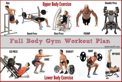 The Best Full Body Gym Workout Guide By Mp45