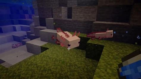 How To Create Axolotls In Any Seed In Minecraft