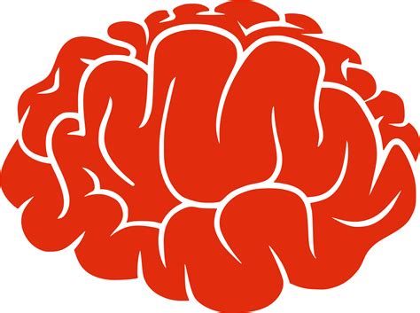 Brain Png Image Png Mart