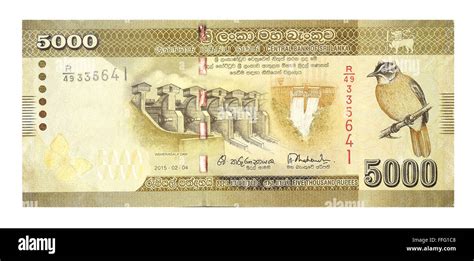 Banknotes 5000 Sri Lankan Rupees Stock Photo Alamy