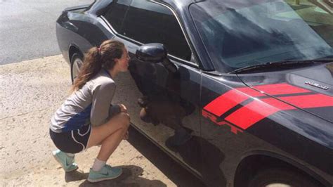 Kentucky Fans Wont Stop Licking Devin Bookers Car Ncaa