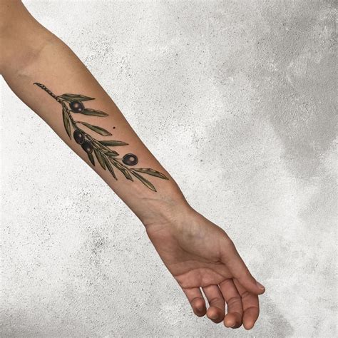 Olive Branch Tattoo By Vanessa Core Olive Branch Tattoo 111 Tattoo