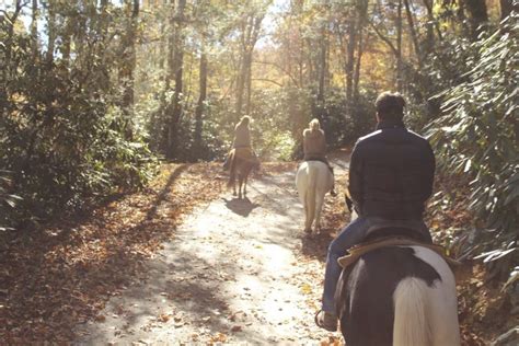 Home » cabins » 1 bedroom cabins in pigeon forge and gatlinburg. Springmaid Mountain Cabins/Campground - Blue Ridge Parkway