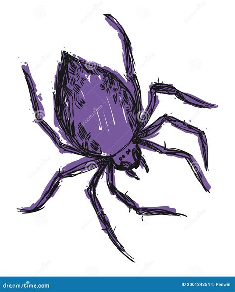 Spider Hand Drawn Sketch And Watercolor Illustrations Watercolor