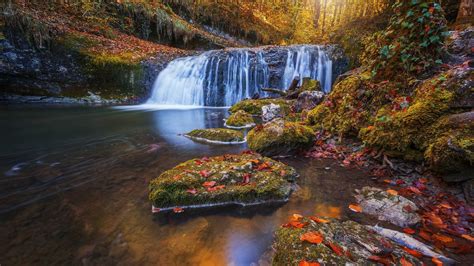 Waterfall In The Autumn Forest Wallpaper Backiee
