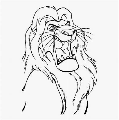 Lion Coloring King Pages Angry Mufasa Transparent