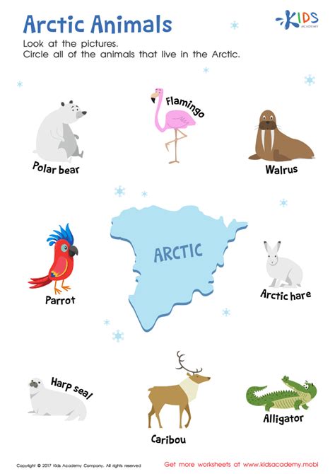 Arctic Animals Worksheet Free Printable Pdf For Children