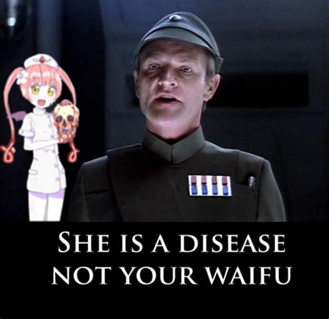 She Is A Disease Not Your Waifu Shes A Cartoon Not Your Waifu