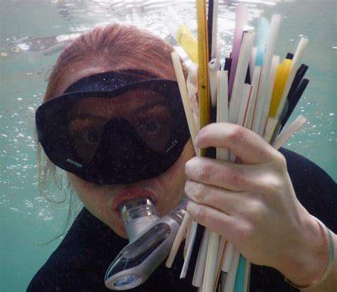 Environmental Impact Of Plastic Straws Nourished Life