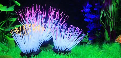 Arrecife De Coral Artificial Decoración Fluorescente Para Acuario Buy