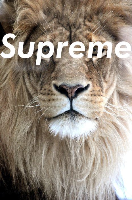 Bape wallpaper iphone supreme iphone wallpaper nike wallpaper cellphone wallpaper cool wallpaper wallpaper supreme hub. Supreme | everything | Pinterest | Supreme, Supreme ...