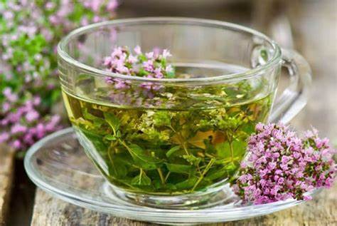 Жиросжигатели из трав