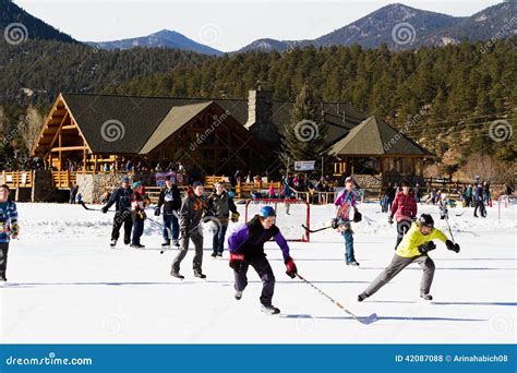Ice Skating Editorial Stock Photo Image Of Puck Plant 42087088
