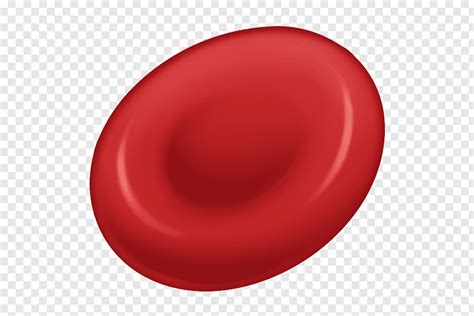 Red Blood Cell Cell Nucleus Cell Png Pngwave