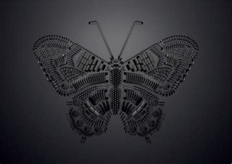 Butterfly Chaos Theory