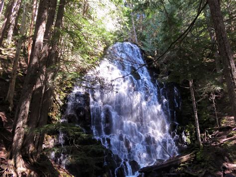 Ramona Falls Hike At Mt Hood Wilderness In Oregon Flickr