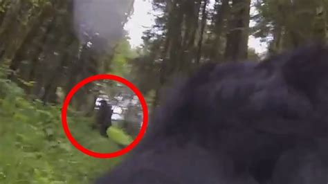 Bigfoot Caught On Video Sure Looks Like A Sasquatch
