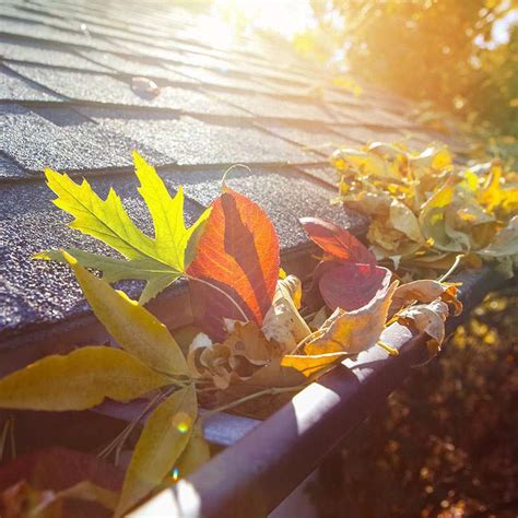 5 Fall Roof Maintenance Tips For Edmonton Homeowners