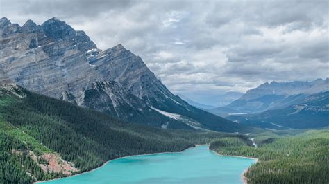 Peyto Lake Banff National Park 4k Wallpaper