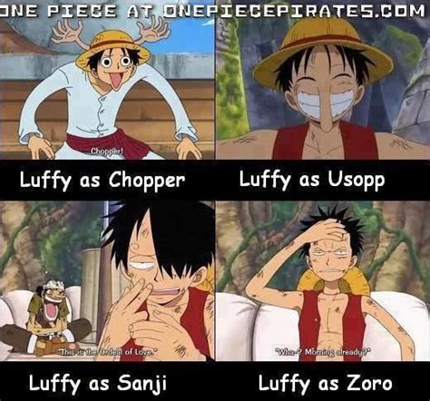 The Many Faces Of Monkey D Luffy One Piece One Piece Meme One