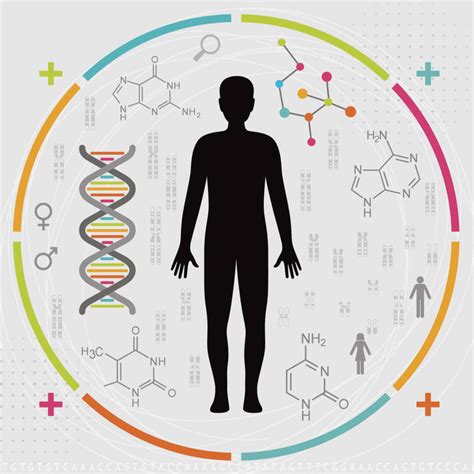 For Precision Medicine To Work Physicians Must Incorporate Holistic