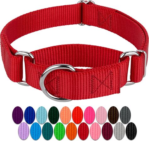 Best Martingale Dog Collars 2024 The Safe And Simple Solution Pet