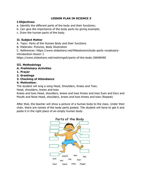 Lesson Plan Parts Of The Human Body And Their Functions Lesson