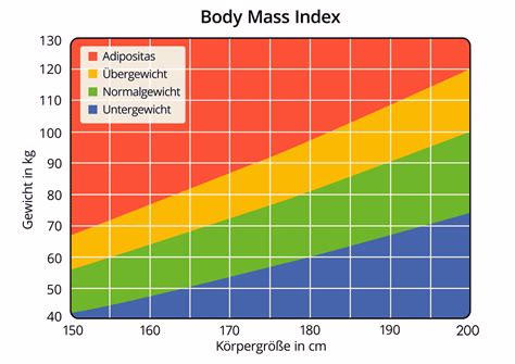 Haben arbeitnehmerinnen einen urlaubsanspruch im mutterschutz und in elternzeit? BMI Rechner - Body Mass Index berechnen und verstehen