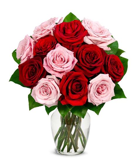One Dozen Red And Pink Roses At From You Flowers