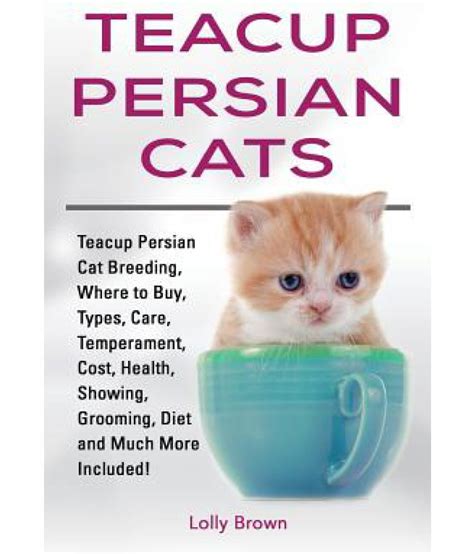 It's a tiny dog breed at about 5 to 7 inches tall, weighing between 2 to 4 pounds. Teacup Persian Cats: Buy Teacup Persian Cats Online at Low ...