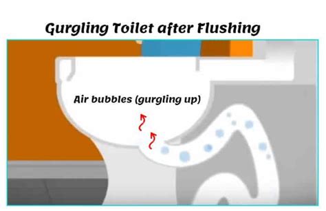Bathroom Sink Gurgles When Toilet Flushes Semis Online