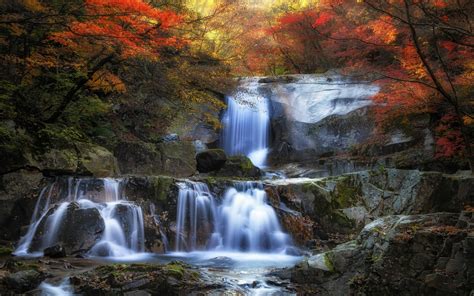 Autumn Forest Waterfall