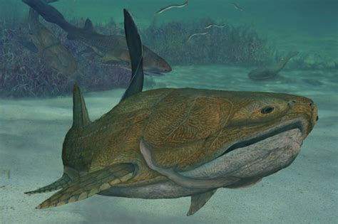 Incredible Fish Fossil Is The Earliest Known Creature With A Face The
