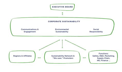 Organizational Structure Beiersdorf