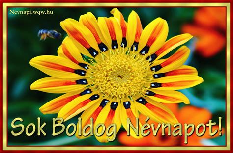 Kattints és válaszd ki a tökéletes névnapi köszöntőt! Tigrisvirág névnapi kép nőknek - Zenés névnapi képeslapok ...