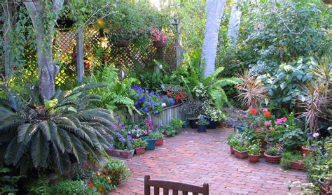 Garden And Lawn Best Courtyard Garden Designs Tropical