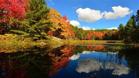 Wallpaper Clouds Forest Lake Trees Autumn 1920x1200 Hd Picture Image