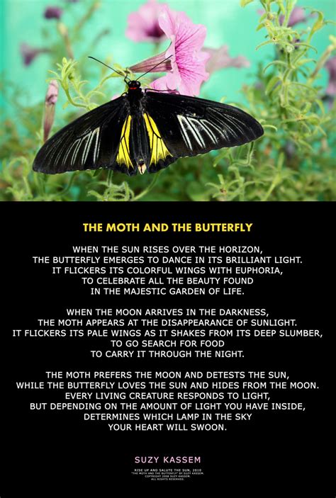 The Moth And The Butterfly ― Suzy Kassem Poetry Poems Butterfly