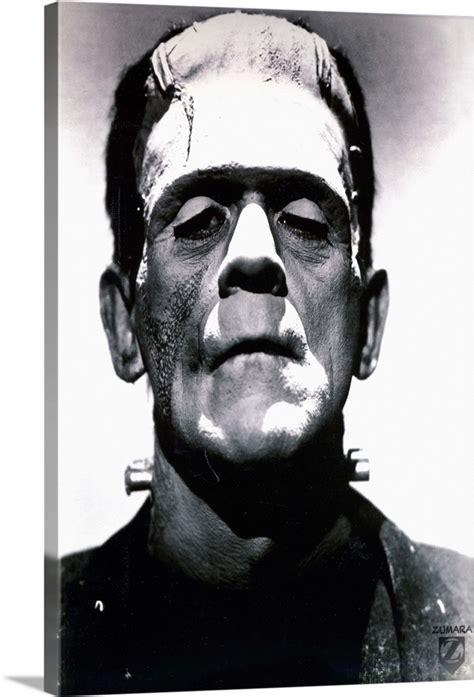 Bela Lugosi Bandw Frankenstein Meets Wolfman Wall Art Canvas Prints